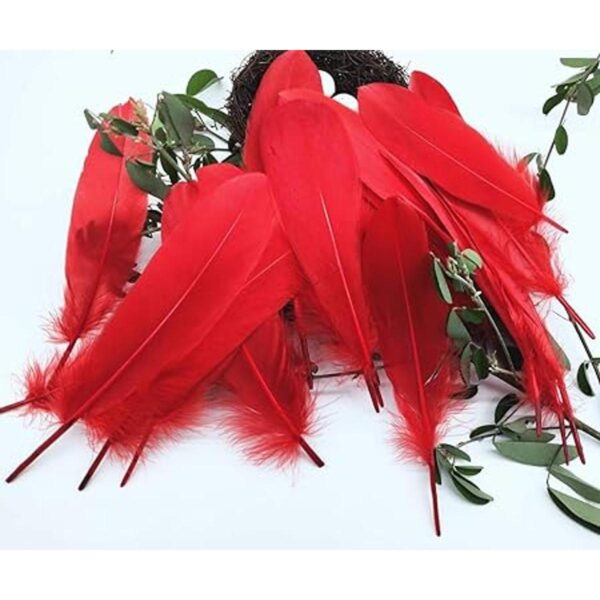 100 plumas de ganso natural teñidas en rojo de 6 a 8_4