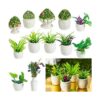 12 piezas de casa de muñecas bonsái mini planta en_1